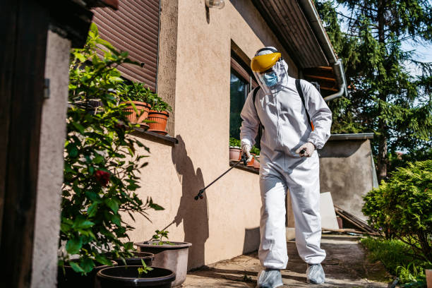 Best Mosquito Control Services  in Brackenridge, PA