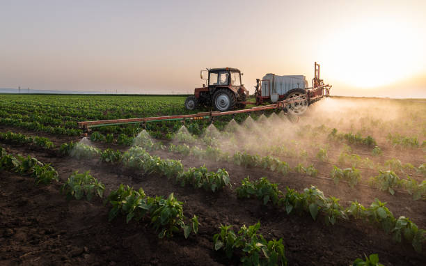 Best Commercial Pest Control Services  in Brackenridge, PA