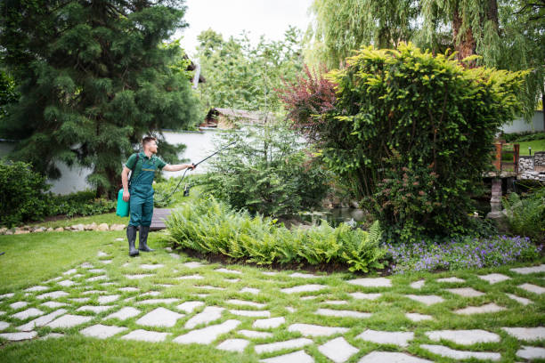 Best Pest Control Near Me  in Brackenridge, PA
