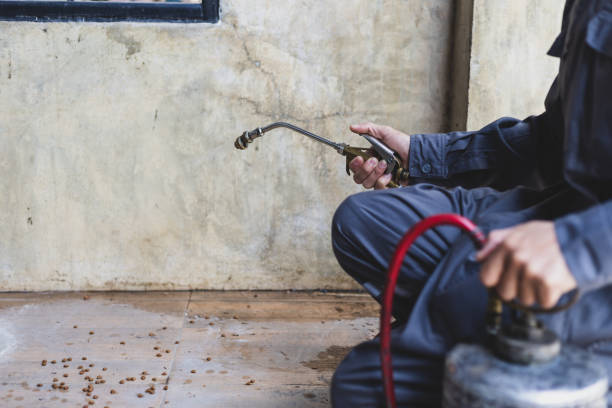 Best Termite Control Services  in Brackenridge, PA